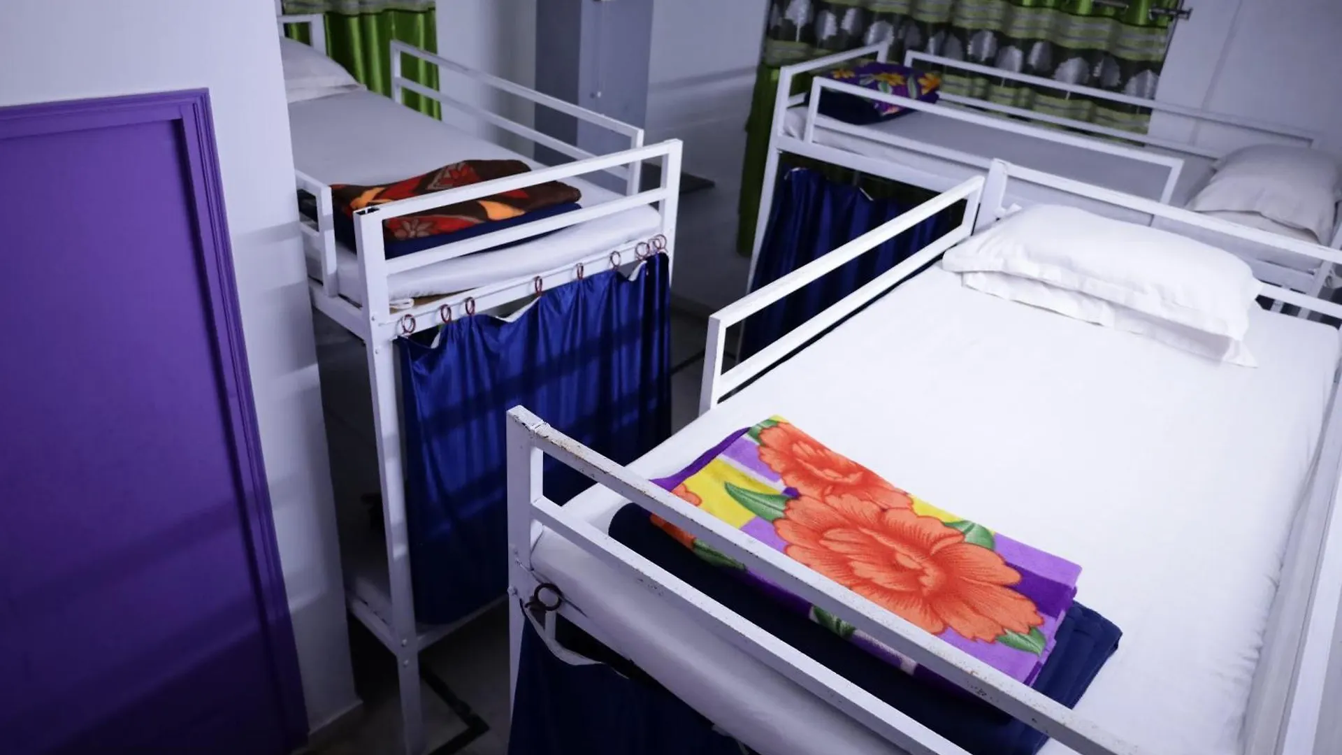 Tamasha Udaipur Hostel